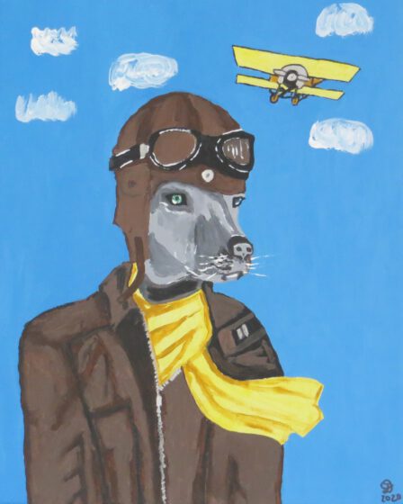 Aviator