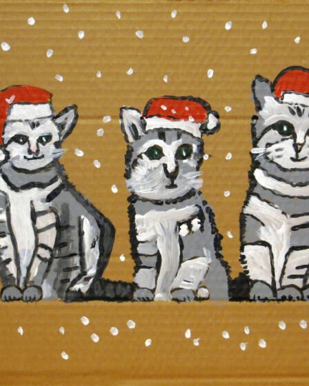 Katzen-Weihnacht