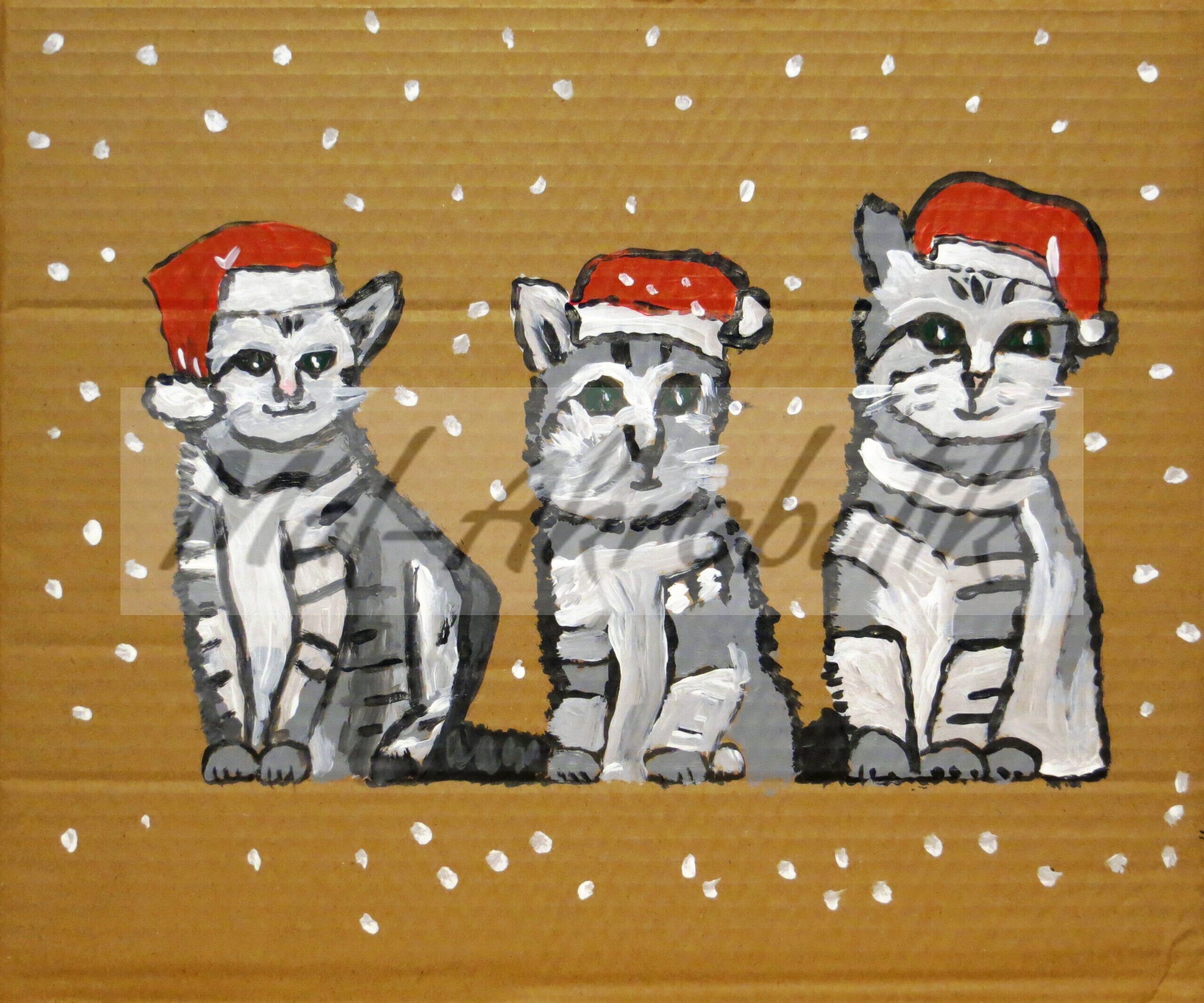 Katzen-Weihnacht